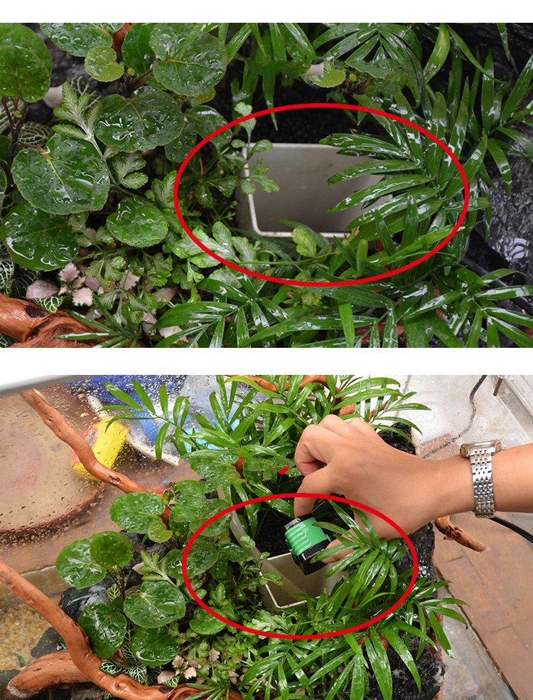Pump Tank Filter Tank For Paludarium, Vivarium And Terrarium