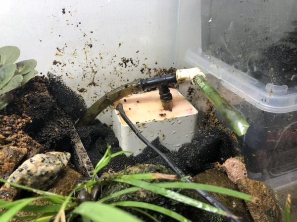 Pump Tank Filter Tank For Paludarium, Vivarium And Terrarium
