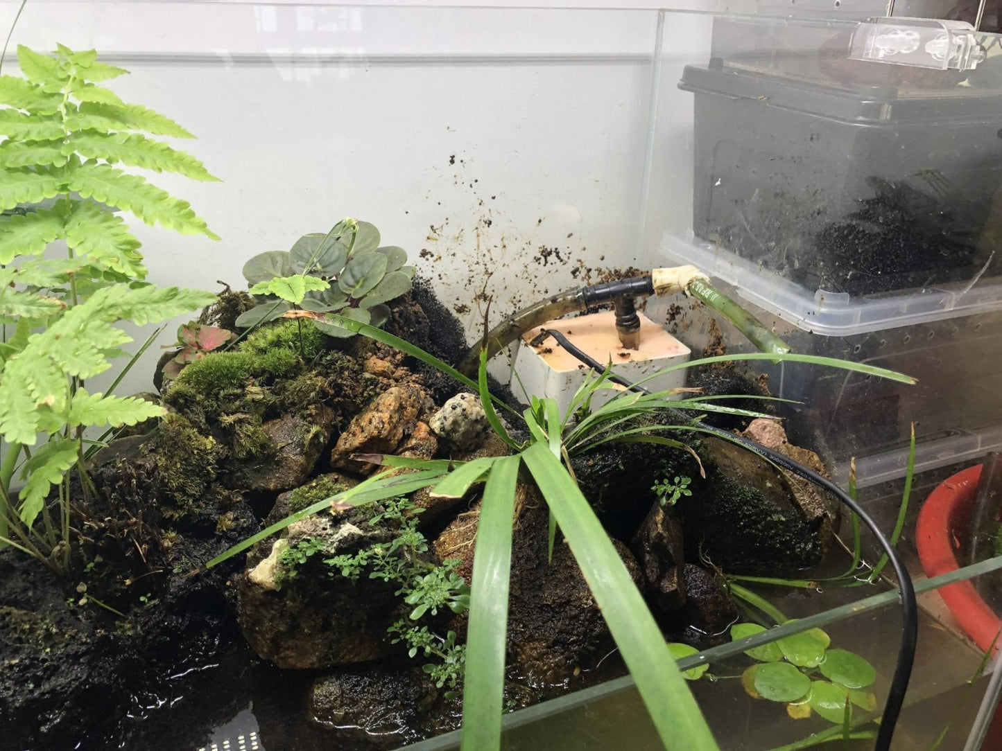 Pump Tank Filter Tank For Paludarium, Vivarium And Terrarium