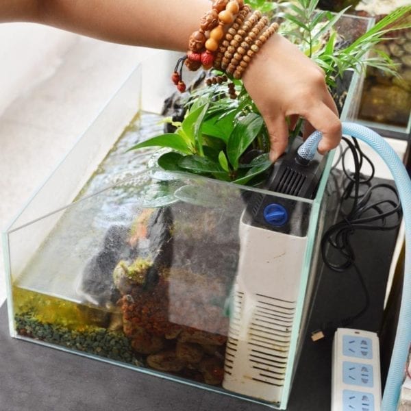 Pump Tank Filter Tank For Paludarium, Vivarium And Terrarium