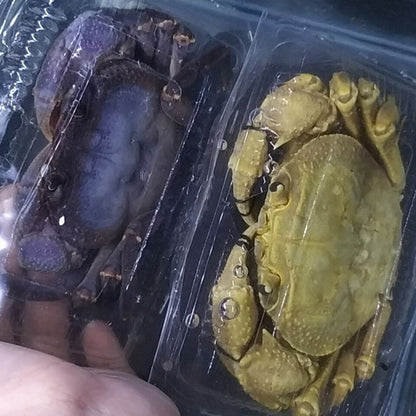 Purple Indochinamon Crab (Indochinamon chinghungense)