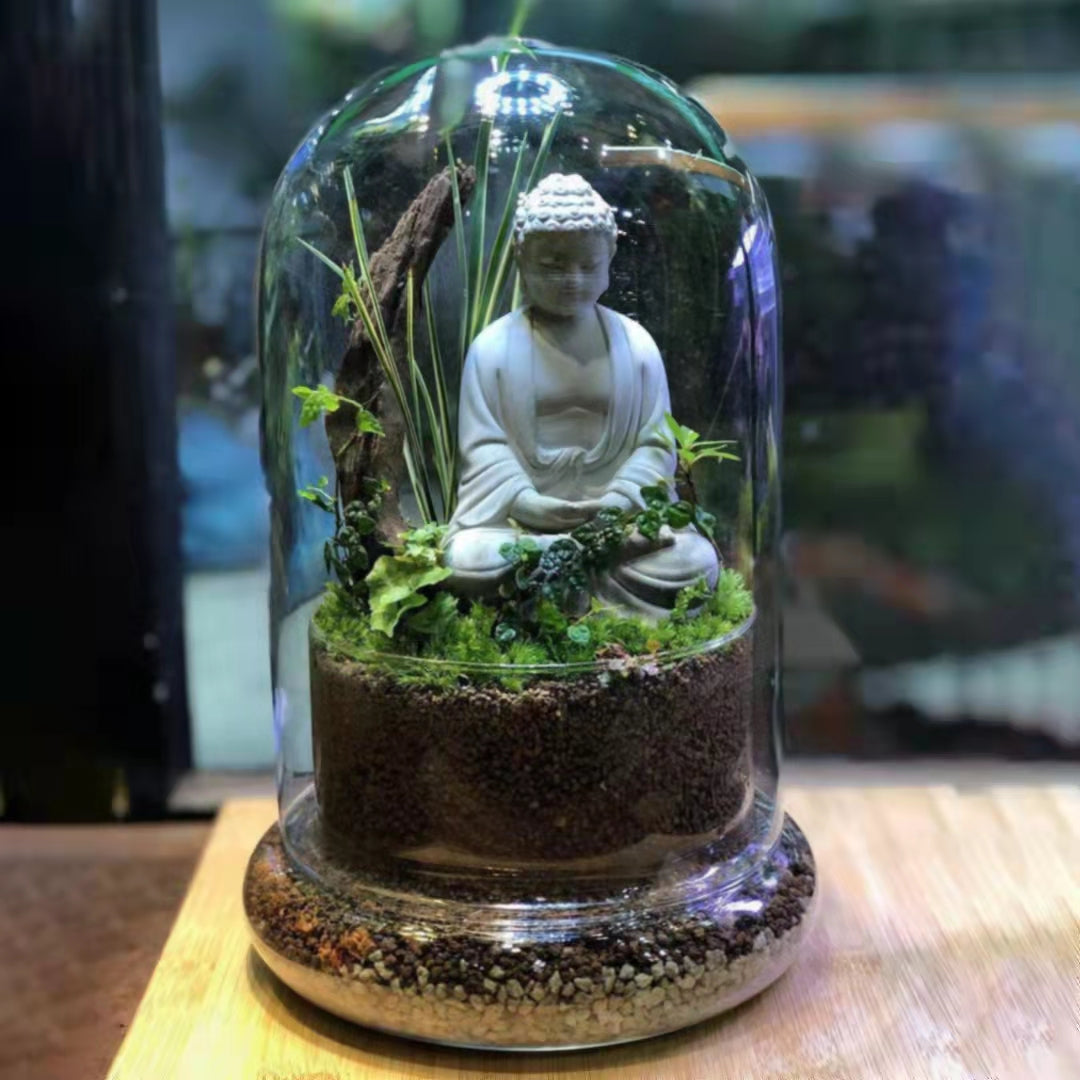 terrarium for sale with plants Terrarium Set with LED Grow Light