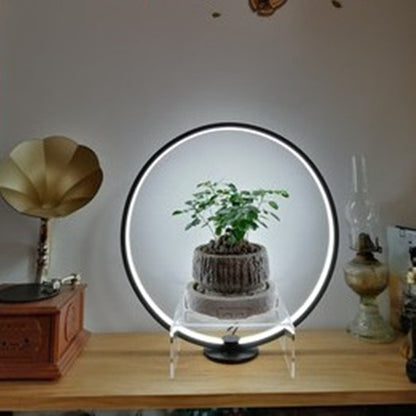 Warm White LED Display Lamp